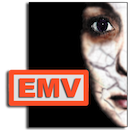 emv4 icon